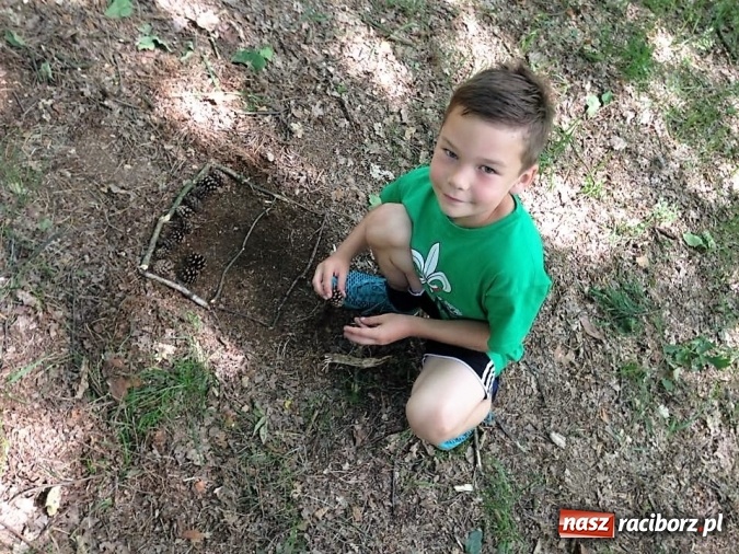 Zdjęcie w galerii na portalu naszraciborz.pl: Zuchowy bieg po gwiazdki  wiadomości z regionu
