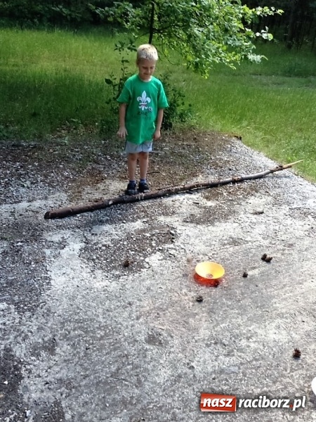 Zdjęcie w galerii na portalu naszraciborz.pl: Zuchowy bieg po gwiazdki  wiadomości z regionu
