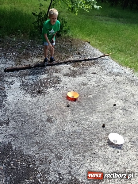 Zdjęcie w galerii na portalu naszraciborz.pl: Zuchowy bieg po gwiazdki  wiadomości z regionu