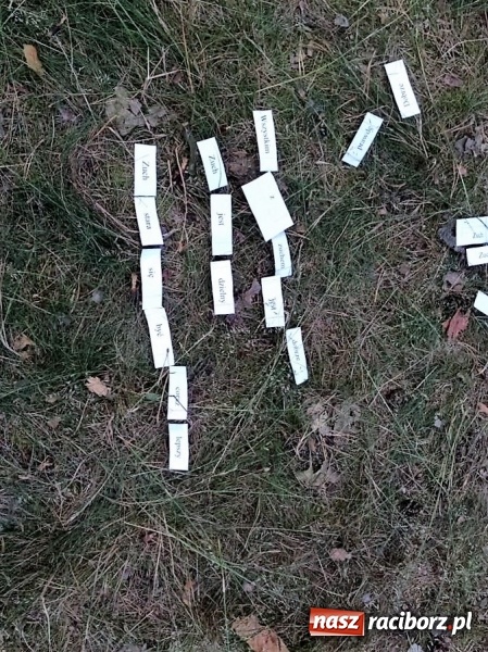 Zdjęcie w galerii na portalu naszraciborz.pl: Zuchowy bieg po gwiazdki  wiadomości z regionu