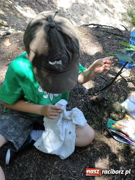 Zdjęcie w galerii na portalu naszraciborz.pl: Zuchowy bieg po gwiazdki  wiadomości z regionu