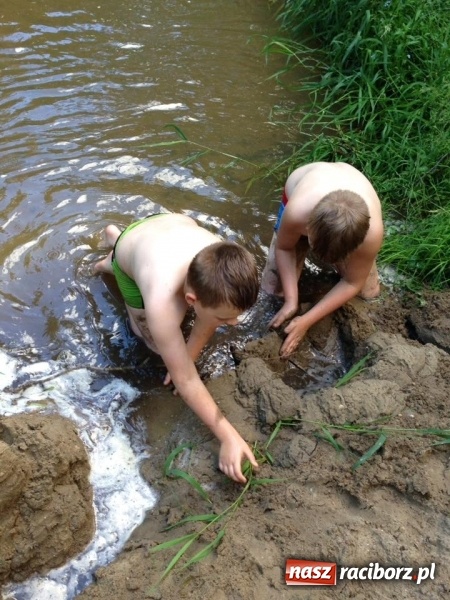 Zdjęcie w galerii na portalu naszraciborz.pl: Zuchowy bieg po gwiazdki  wiadomości z regionu