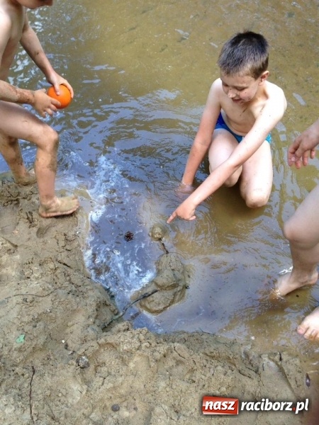 Zdjęcie w galerii na portalu naszraciborz.pl: Zuchowy bieg po gwiazdki  wiadomości z regionu