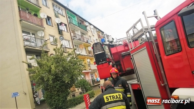 Zdjęcie w galerii na portalu naszraciborz.pl: Pożar mieszkania przy ul. Krasickiego w Kuźni Raciborskiej  wiadomości z regionu