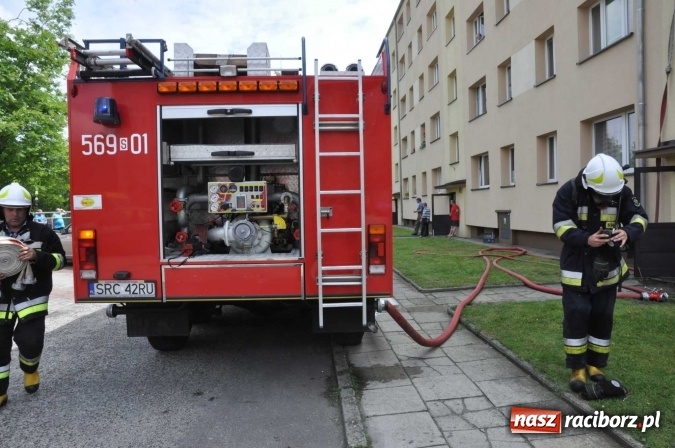 Zdjęcie w galerii na portalu naszraciborz.pl: Pożar mieszkania przy ul. Krasickiego w Kuźni Raciborskiej  wiadomości z regionu