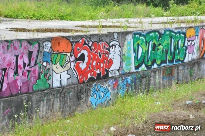 Zdjęcie w galerii na portalu naszraciborz.pl: Pojawił się pomysł na to, jak zagospodarować niedokończone kąpielisko na Ostrogu wiadomości z regionu