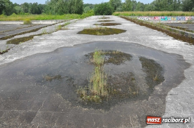 Zdjęcie w galerii na portalu naszraciborz.pl: Pojawił się pomysł na to, jak zagospodarować niedokończone kąpielisko na Ostrogu wiadomości z regionu
