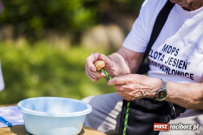 Zdjęcie w galerii na portalu naszraciborz.pl: Seniorzy ze Złotej Jesieni stawiają na sport  wiadomości z regionu