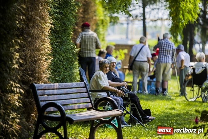 Zdjęcie w galerii na portalu naszraciborz.pl: Seniorzy ze Złotej Jesieni stawiają na sport  wiadomości z regionu