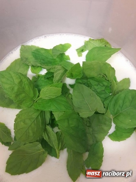 Zdjęcie w galerii na portalu naszraciborz.pl: Lodziarnia pod orzechem – lody naturalnie dobre wiadomości z regionu