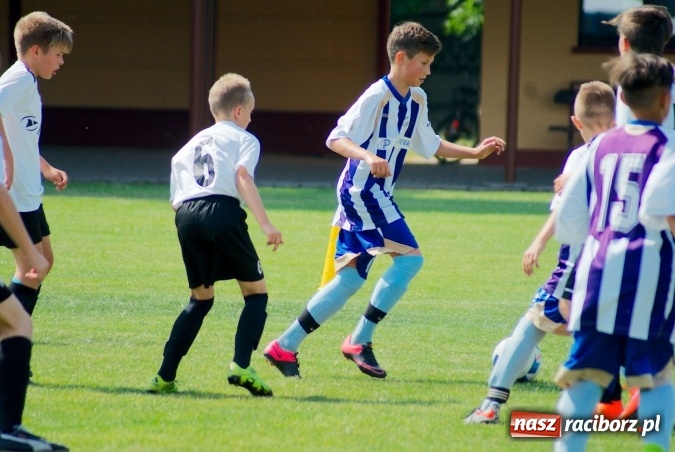 Zdjęcie w galerii na portalu naszraciborz.pl: Tworków Cup 2016: Piłkarski początek wakacji. Gwarek Zabrze zwycięski, raciborska Unia druga. Gospodarze tuż za podium wiadomości z regionu