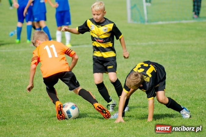 Zdjęcie w galerii na portalu naszraciborz.pl: Drugi dzień zmagań w Tworków Cup 2016. MKP Odra Centrum Wodzisław z podwójną koroną wiadomości z regionu