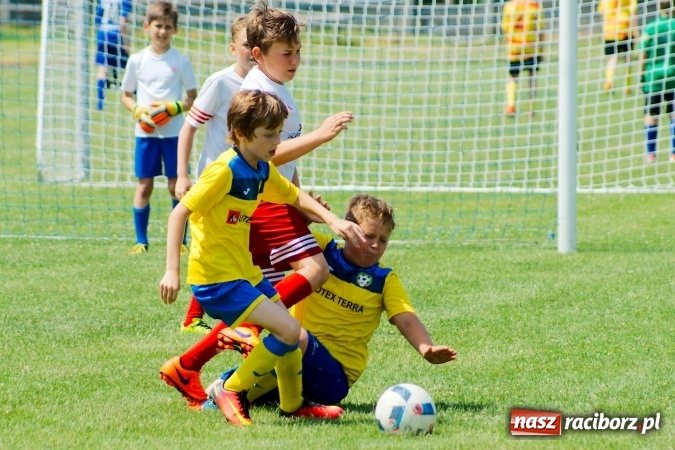 Zdjęcie w galerii na portalu naszraciborz.pl: Drugi dzień zmagań w Tworków Cup 2016. MKP Odra Centrum Wodzisław z podwójną koroną wiadomości z regionu