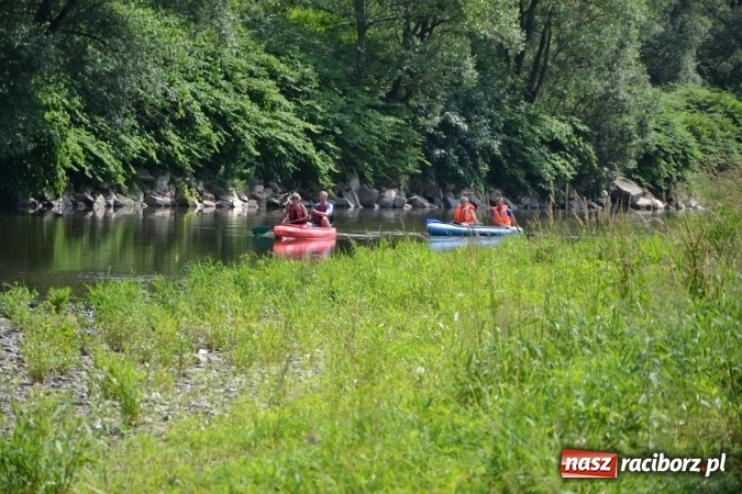 Zdjęcie w galerii na portalu naszraciborz.pl: Graniczne meandry otwarte. Gmina Krzyżanowice i miasto Bogumin oficjalnie rozpoczęli sezon wodniacki  wiadomości z regionu