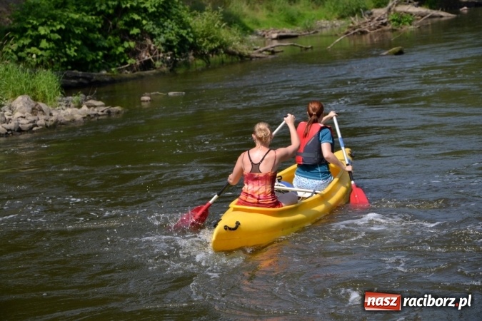 Zdjęcie w galerii na portalu naszraciborz.pl: Graniczne meandry otwarte. Gmina Krzyżanowice i miasto Bogumin oficjalnie rozpoczęli sezon wodniacki  wiadomości z regionu