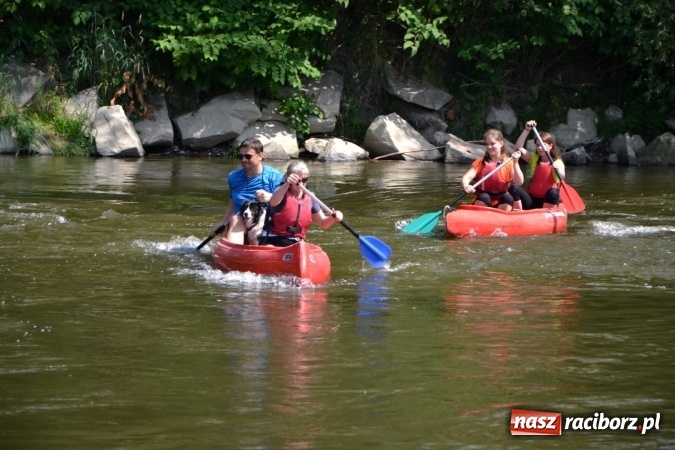Zdjęcie w galerii na portalu naszraciborz.pl: Graniczne meandry otwarte. Gmina Krzyżanowice i miasto Bogumin oficjalnie rozpoczęli sezon wodniacki  wiadomości z regionu