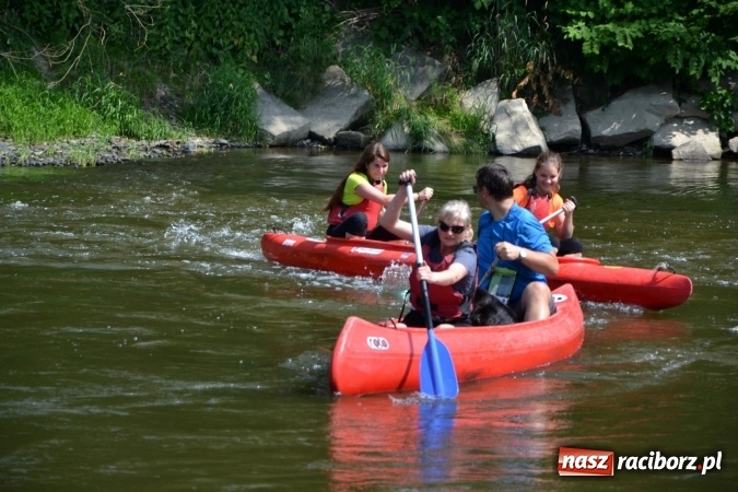 Zdjęcie w galerii na portalu naszraciborz.pl: Graniczne meandry otwarte. Gmina Krzyżanowice i miasto Bogumin oficjalnie rozpoczęli sezon wodniacki  wiadomości z regionu