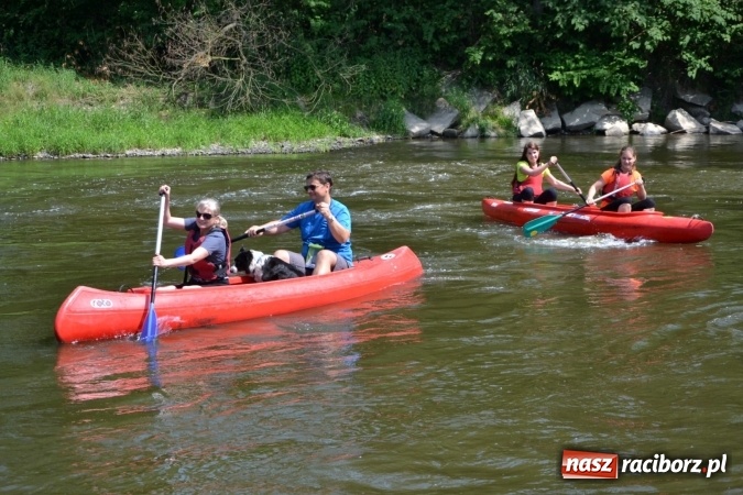 Zdjęcie w galerii na portalu naszraciborz.pl: Graniczne meandry otwarte. Gmina Krzyżanowice i miasto Bogumin oficjalnie rozpoczęli sezon wodniacki  wiadomości z regionu