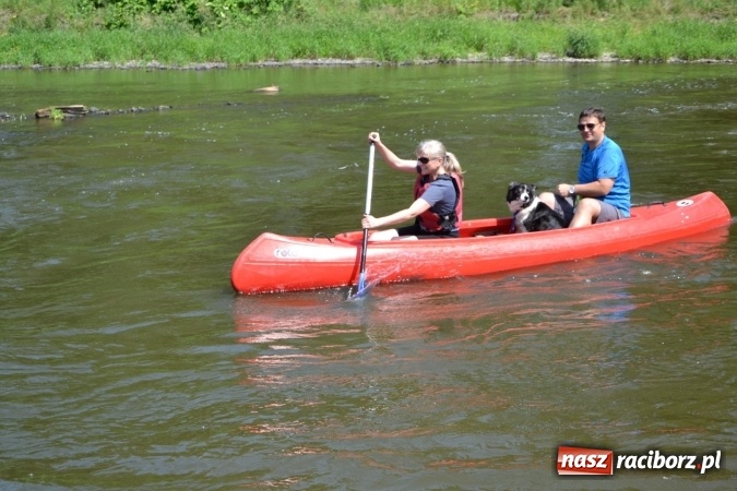 Zdjęcie w galerii na portalu naszraciborz.pl: Graniczne meandry otwarte. Gmina Krzyżanowice i miasto Bogumin oficjalnie rozpoczęli sezon wodniacki  wiadomości z regionu