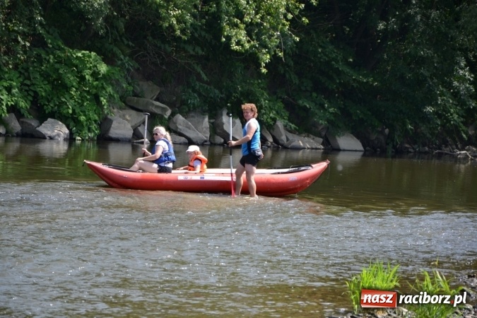 Zdjęcie w galerii na portalu naszraciborz.pl: Graniczne meandry otwarte. Gmina Krzyżanowice i miasto Bogumin oficjalnie rozpoczęli sezon wodniacki  wiadomości z regionu