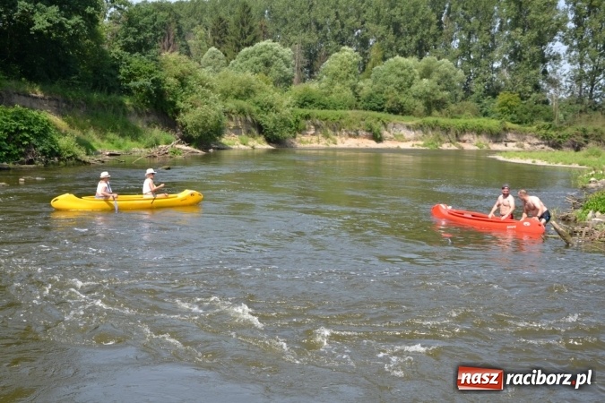 Zdjęcie w galerii na portalu naszraciborz.pl: Graniczne meandry otwarte. Gmina Krzyżanowice i miasto Bogumin oficjalnie rozpoczęli sezon wodniacki  wiadomości z regionu