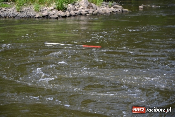 Zdjęcie w galerii na portalu naszraciborz.pl: Graniczne meandry otwarte. Gmina Krzyżanowice i miasto Bogumin oficjalnie rozpoczęli sezon wodniacki  wiadomości z regionu