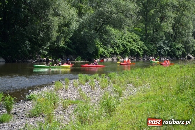 Zdjęcie w galerii na portalu naszraciborz.pl: Graniczne meandry otwarte. Gmina Krzyżanowice i miasto Bogumin oficjalnie rozpoczęli sezon wodniacki  wiadomości z regionu