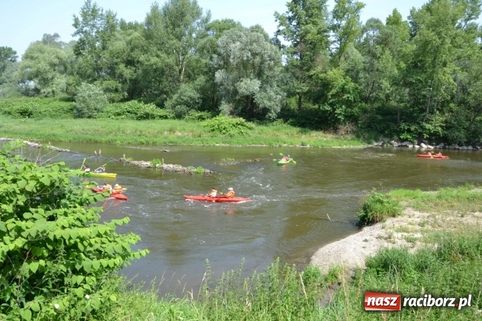 Zdjęcie w galerii na portalu naszraciborz.pl: Graniczne meandry otwarte. Gmina Krzyżanowice i miasto Bogumin oficjalnie rozpoczęli sezon wodniacki  wiadomości z regionu