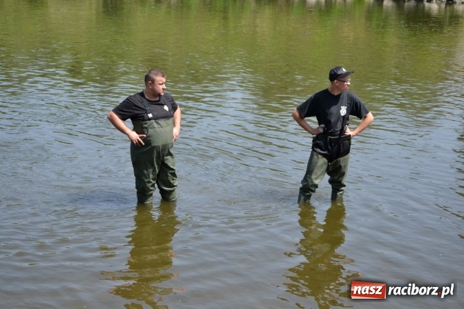 Zdjęcie w galerii na portalu naszraciborz.pl: Graniczne meandry otwarte. Gmina Krzyżanowice i miasto Bogumin oficjalnie rozpoczęli sezon wodniacki  wiadomości z regionu