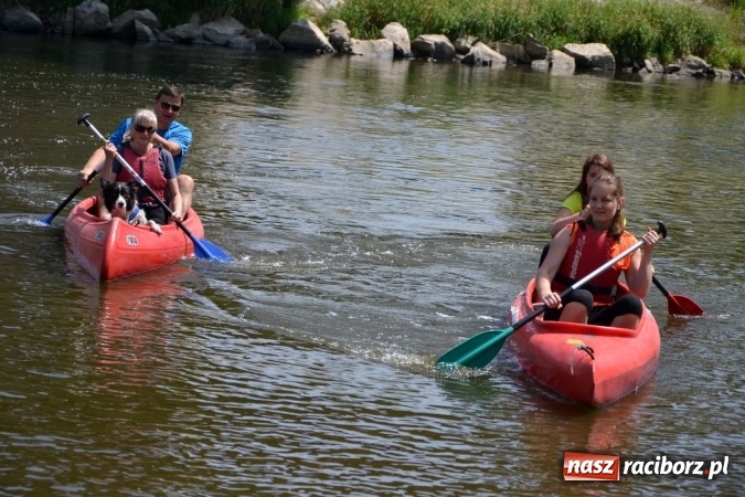 Zdjęcie w galerii na portalu naszraciborz.pl: Graniczne meandry otwarte. Gmina Krzyżanowice i miasto Bogumin oficjalnie rozpoczęli sezon wodniacki  wiadomości z regionu
