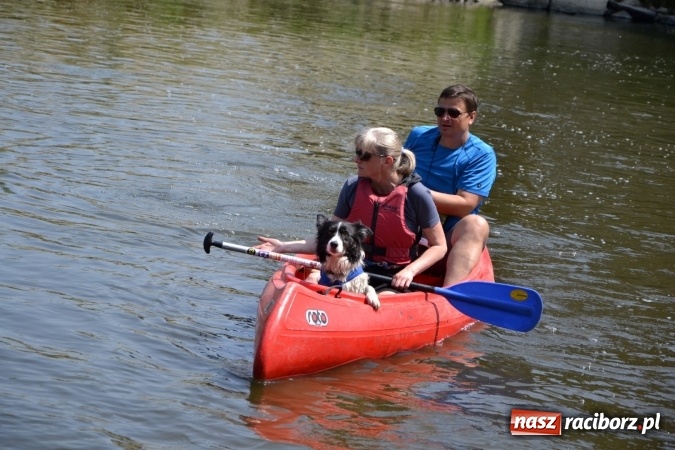 Zdjęcie w galerii na portalu naszraciborz.pl: Graniczne meandry otwarte. Gmina Krzyżanowice i miasto Bogumin oficjalnie rozpoczęli sezon wodniacki  wiadomości z regionu