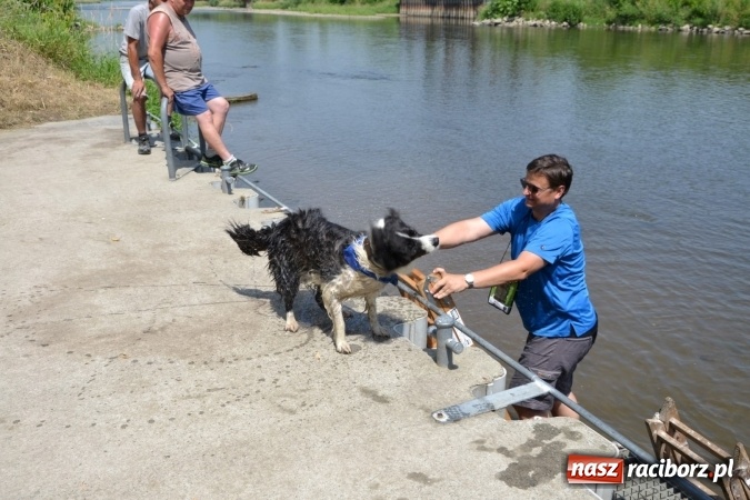 Zdjęcie w galerii na portalu naszraciborz.pl: Graniczne meandry otwarte. Gmina Krzyżanowice i miasto Bogumin oficjalnie rozpoczęli sezon wodniacki  wiadomości z regionu