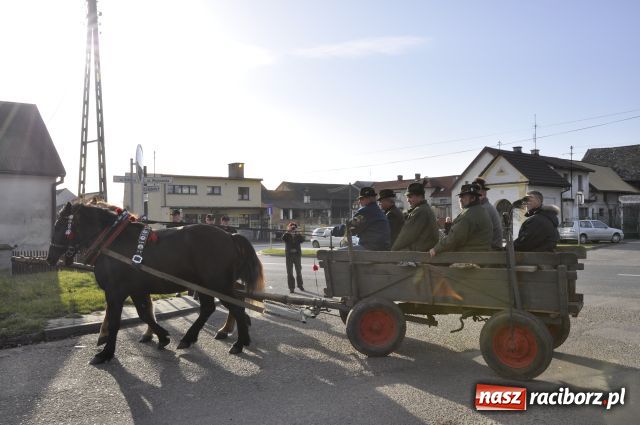 Zdjęcie w galerii na portalu naszraciborz.pl: Lis złapany w OKAMGNIENIU wiadomości z regionu