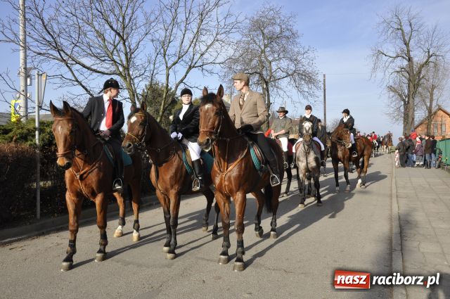 Zdjęcie w galerii na portalu naszraciborz.pl: Lis złapany w OKAMGNIENIU wiadomości z regionu