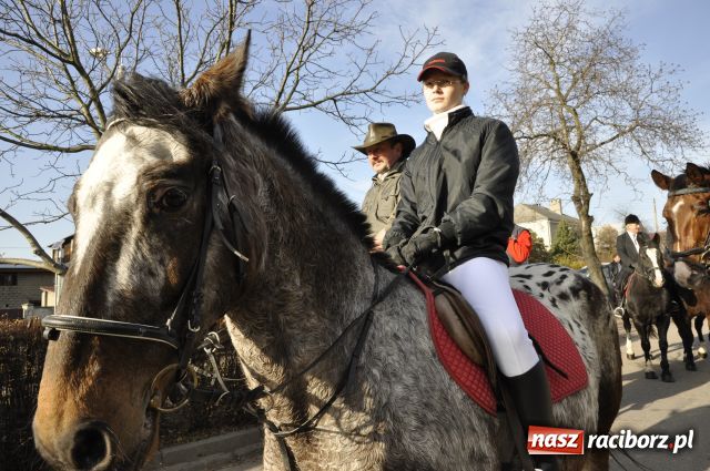 Zdjęcie w galerii na portalu naszraciborz.pl: Lis złapany w OKAMGNIENIU wiadomości z regionu
