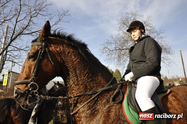 Zdjęcie w galerii na portalu naszraciborz.pl: Lis złapany w OKAMGNIENIU wiadomości z regionu