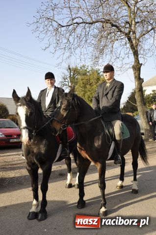 Zdjęcie w galerii na portalu naszraciborz.pl: Lis złapany w OKAMGNIENIU wiadomości z regionu