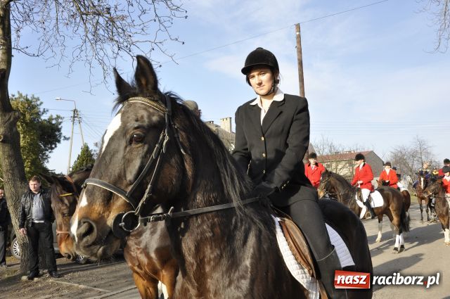 Zdjęcie w galerii na portalu naszraciborz.pl: Lis złapany w OKAMGNIENIU wiadomości z regionu