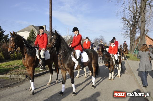 Zdjęcie w galerii na portalu naszraciborz.pl: Lis złapany w OKAMGNIENIU wiadomości z regionu