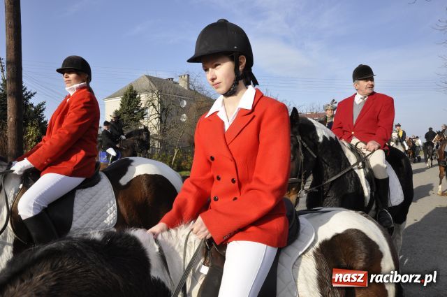 Zdjęcie w galerii na portalu naszraciborz.pl: Lis złapany w OKAMGNIENIU wiadomości z regionu