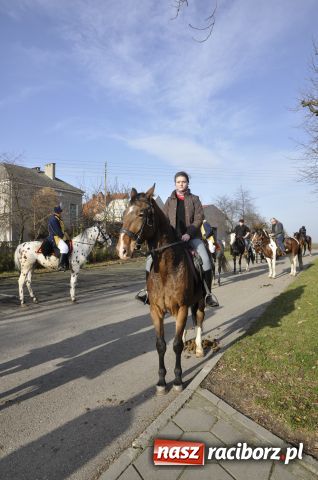 Zdjęcie w galerii na portalu naszraciborz.pl: Lis złapany w OKAMGNIENIU wiadomości z regionu