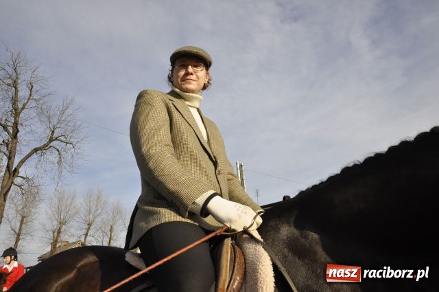 Zdjęcie w galerii na portalu naszraciborz.pl: Lis złapany w OKAMGNIENIU wiadomości z regionu