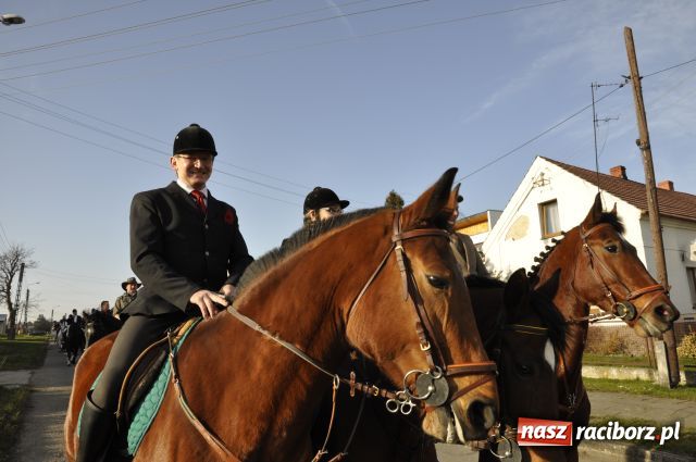 Zdjęcie w galerii na portalu naszraciborz.pl: Lis złapany w OKAMGNIENIU wiadomości z regionu