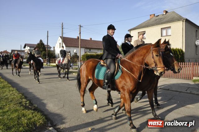 Zdjęcie w galerii na portalu naszraciborz.pl: Lis złapany w OKAMGNIENIU wiadomości z regionu