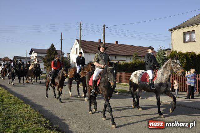 Zdjęcie w galerii na portalu naszraciborz.pl: Lis złapany w OKAMGNIENIU wiadomości z regionu