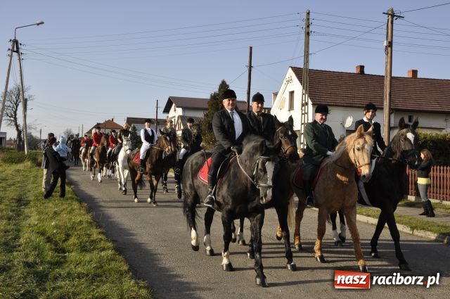 Zdjęcie w galerii na portalu naszraciborz.pl: Lis złapany w OKAMGNIENIU wiadomości z regionu