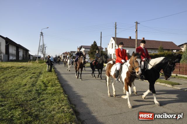 Zdjęcie w galerii na portalu naszraciborz.pl: Lis złapany w OKAMGNIENIU wiadomości z regionu