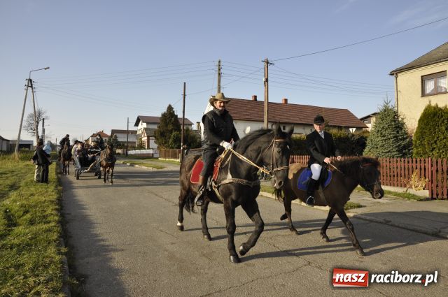 Zdjęcie w galerii na portalu naszraciborz.pl: Lis złapany w OKAMGNIENIU wiadomości z regionu