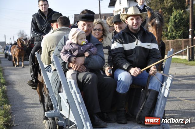 Zdjęcie w galerii na portalu naszraciborz.pl: Lis złapany w OKAMGNIENIU wiadomości z regionu