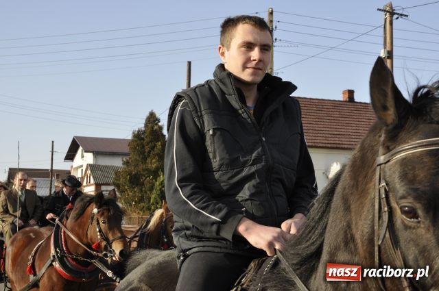 Zdjęcie w galerii na portalu naszraciborz.pl: Lis złapany w OKAMGNIENIU wiadomości z regionu